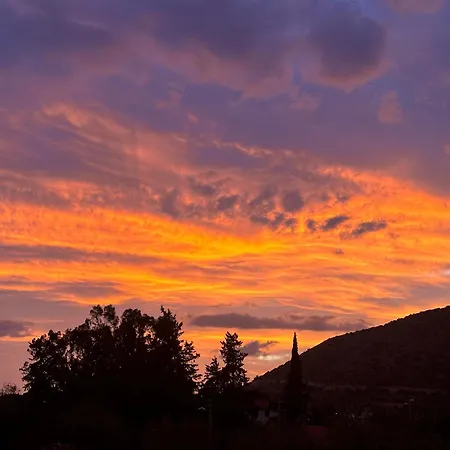 Nirvana Boutique * ダッチャ