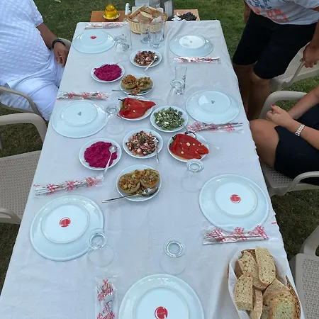 Nirvana Boutique בית נופש דטקה