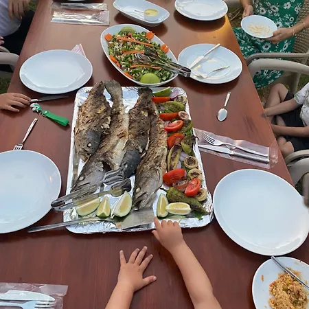 בית נופש Nirvana Boutique דטקה